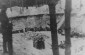 A guard and the Jews before their execution in Paneriai © www.yadvashem.org